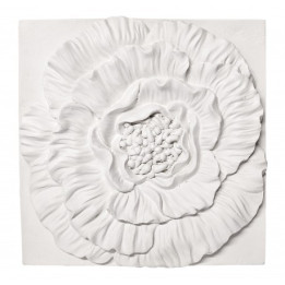 copy of 